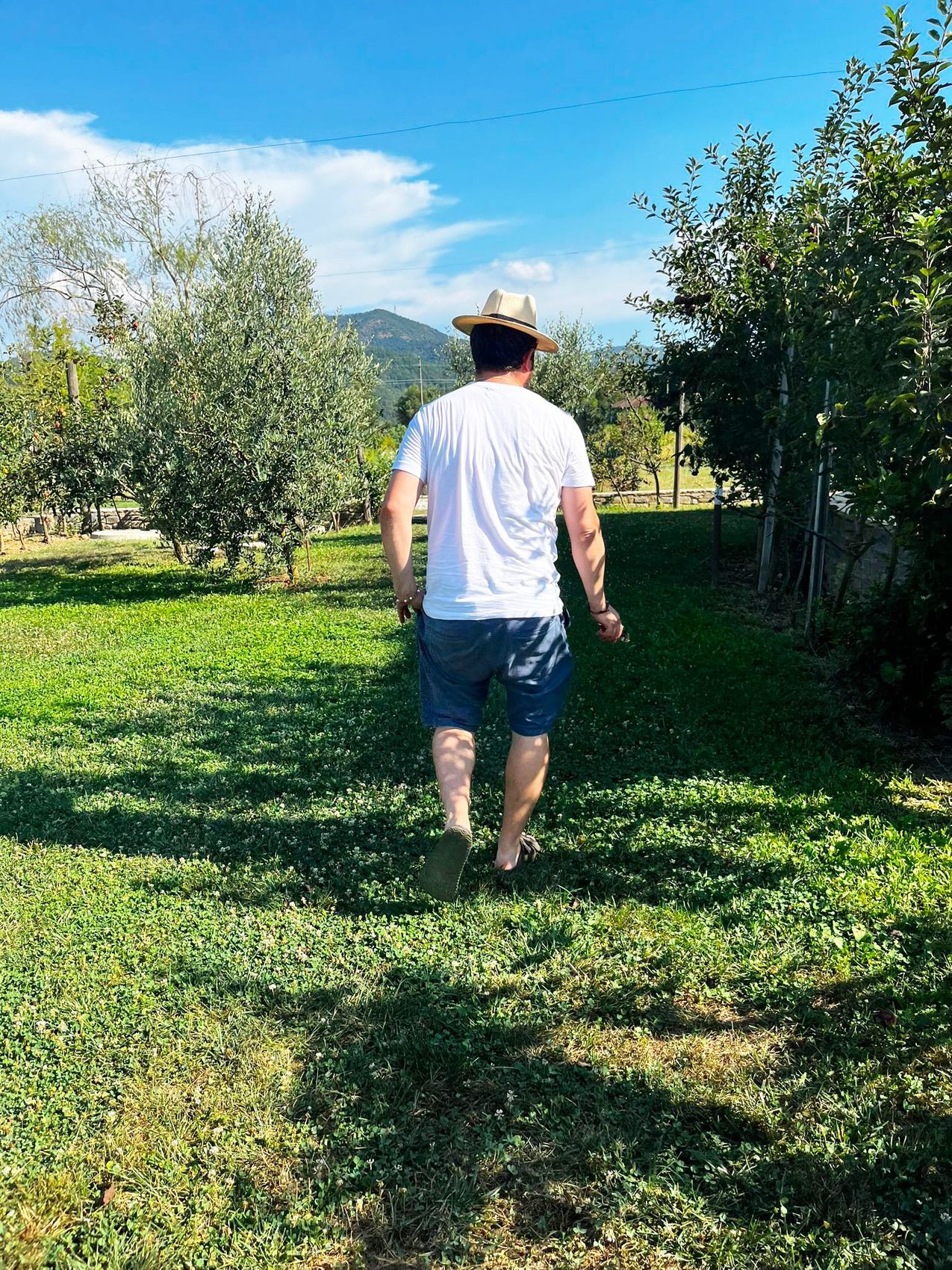 I campi e il frutteto dell'azienda agricola
