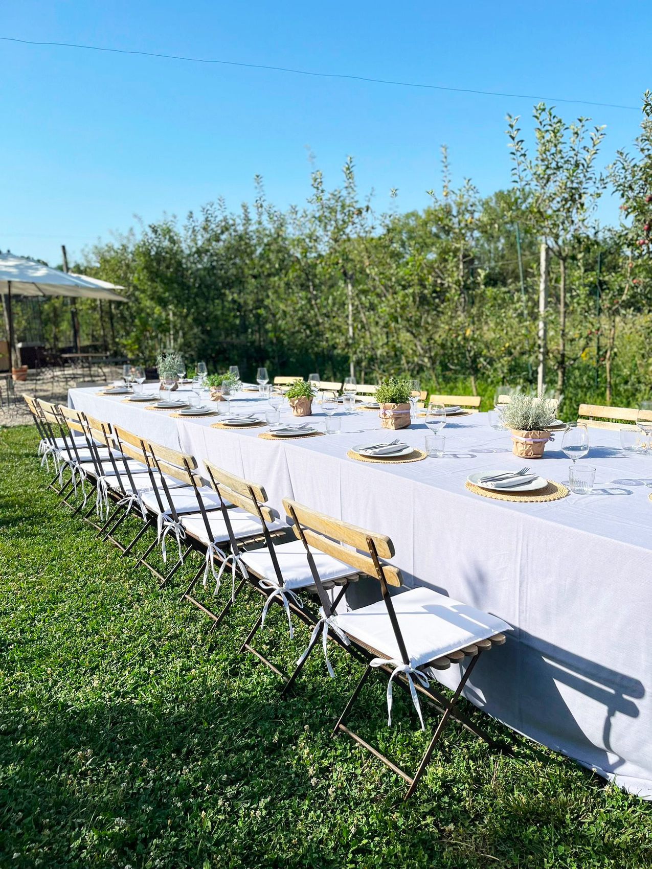 La lunga tavolata di un evento allestita nel giardino